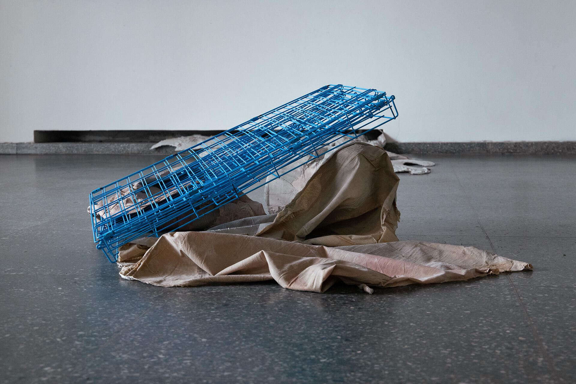 Untitled Untitled